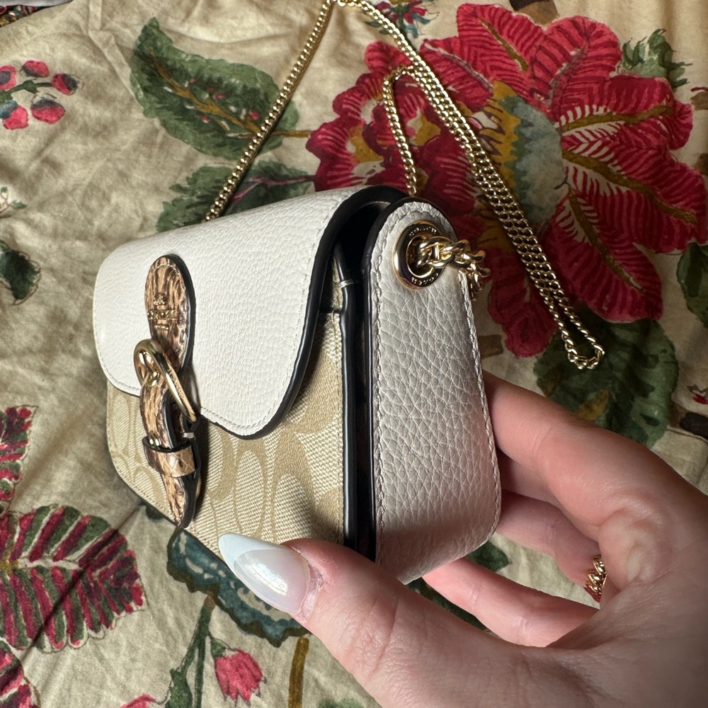 Coach Kleo Snakeskin Bag - Picture 4 of 9